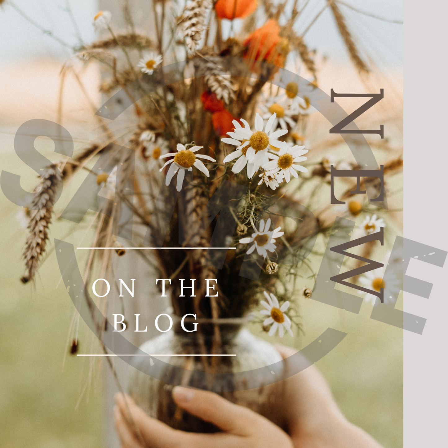 100 Instagram Stories – Design Your Life