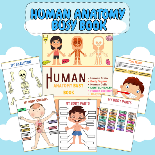 Human Anatomy Busy Book