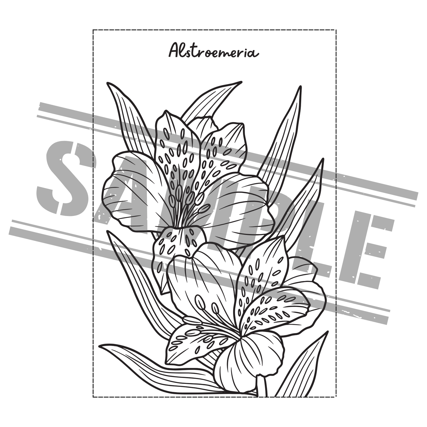 Flower Coloring Book