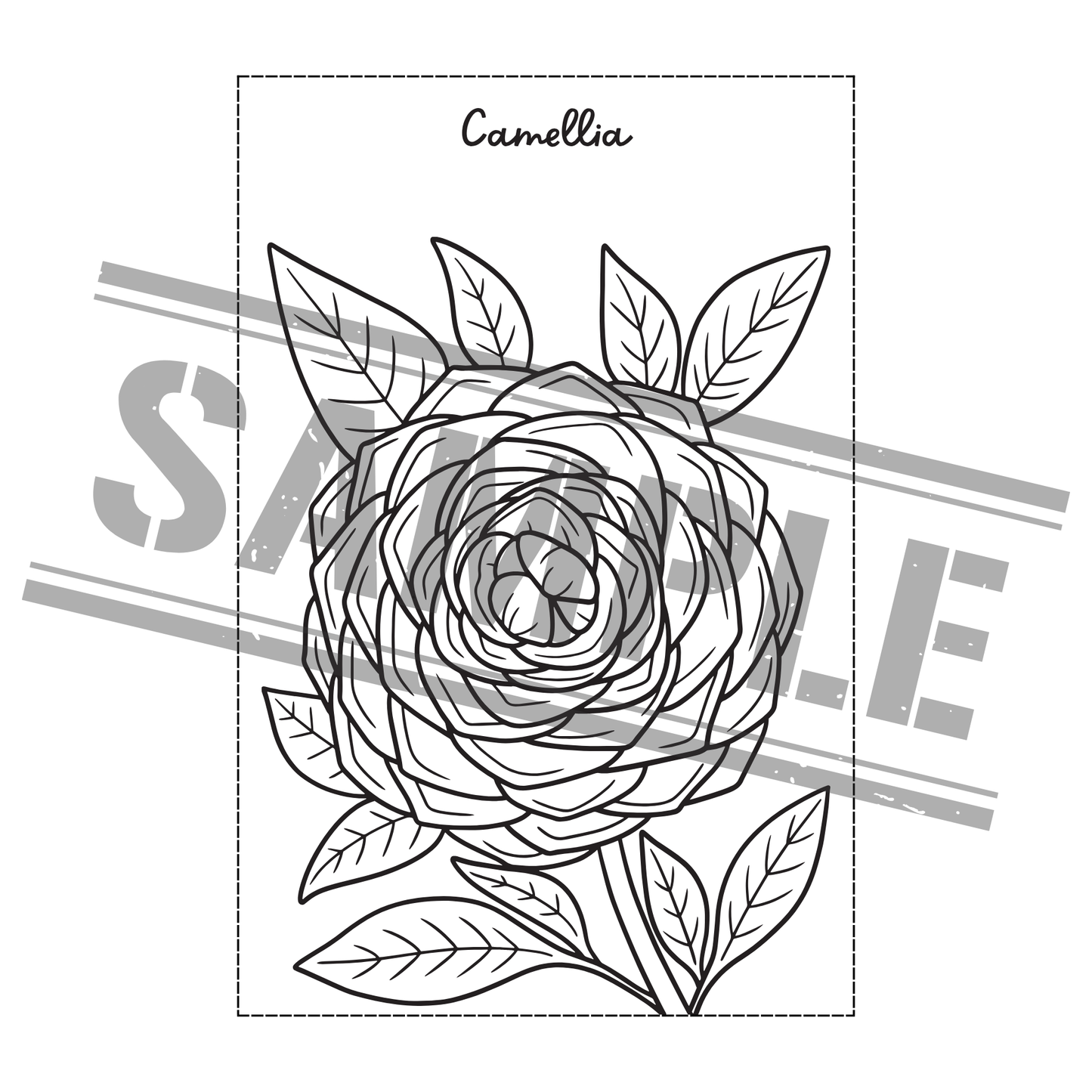 Flower Coloring Book