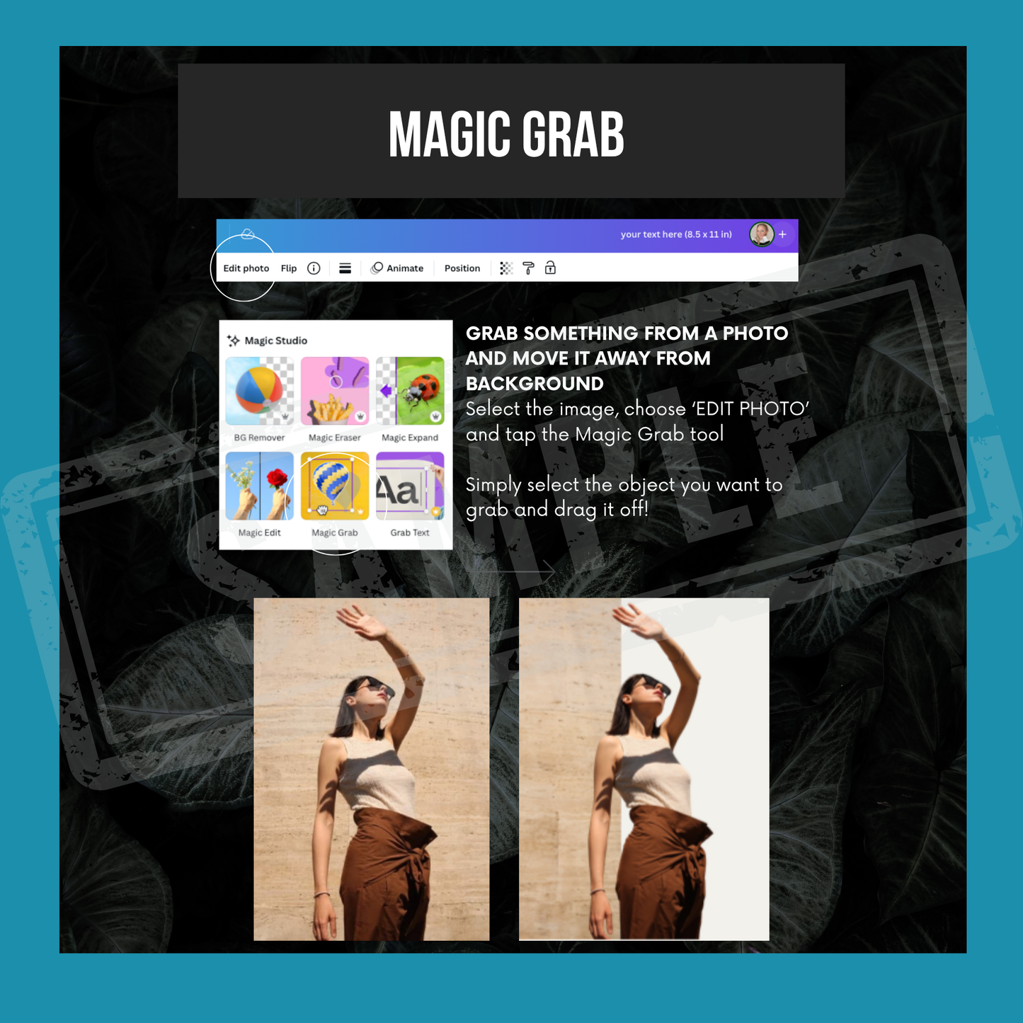 The Basic Canva Course (Beginner Guide)