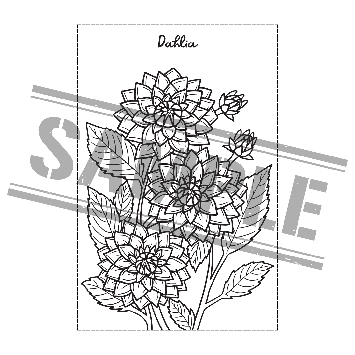 Flower Coloring Book